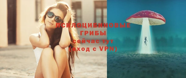скорость Алзамай