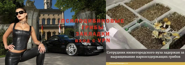 MDMA Алексеевка