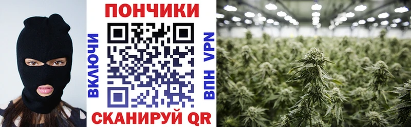 Бошки марихуана семена  MEGA ТОР  Дивногорск 